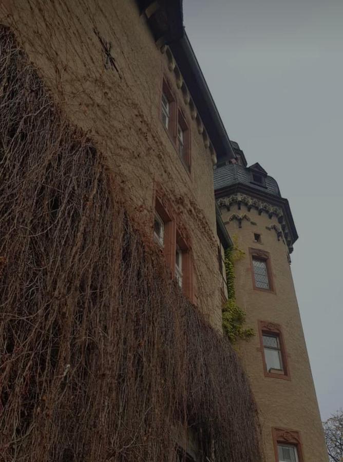 Ferienwohnung Am Geysirzentrum Andernach Exterior foto